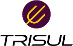 Unleash Networks Icon